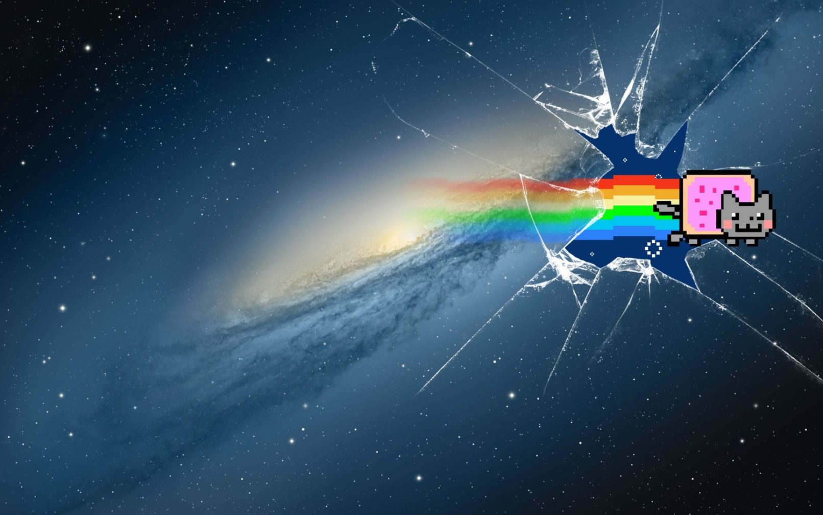 nyan cat zoom background video